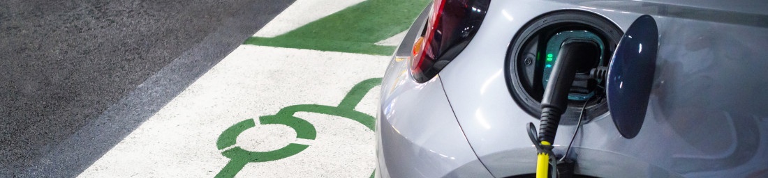 Auto elettriche: una risorsa preziosa